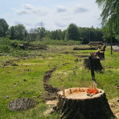 Site Clearance In Manchester