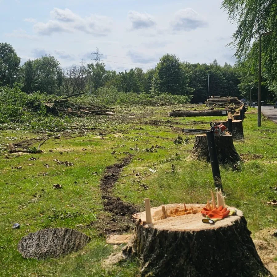 Site Clearance In Manchester