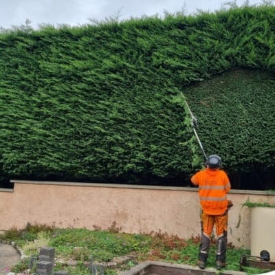 A professional Highfield Tree Care operative in high-visibility safety gear using a long-reach pole trimmer to neatly shape a tall, dense evergreen conifer hedge in Oldham area.