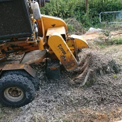 A heavy-duty yellow stump grinder machine in operation, grinding a large tree stump into wood mulch on a residential property near Oldham