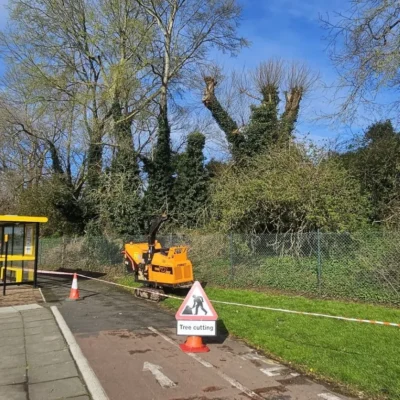 Emergency Tree Removal 4 Service